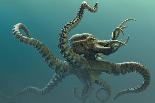 Kraken что это за сайт