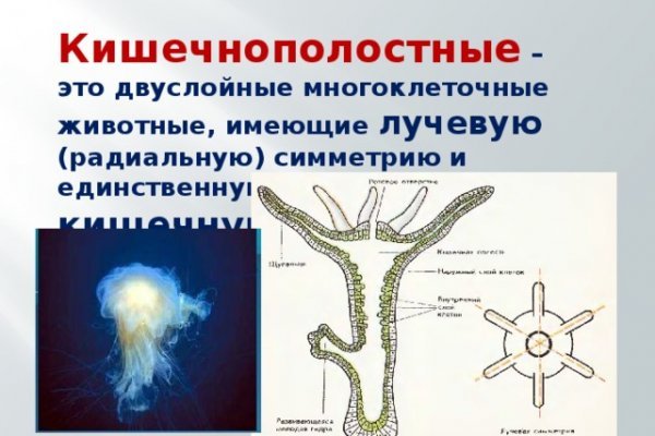 Можно ли зайти на кракен через обычный браузер